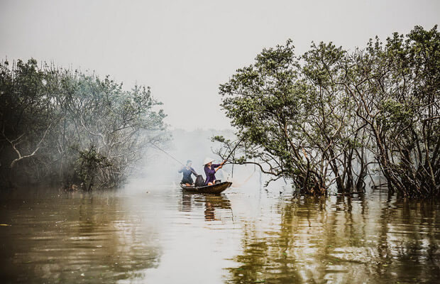 Hình ảnh về Rừng nguyên sinh Rú Chá