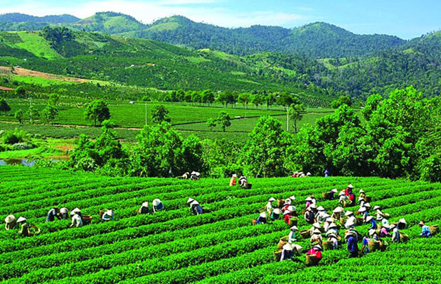 Hình ảnh về Thái Nguyên