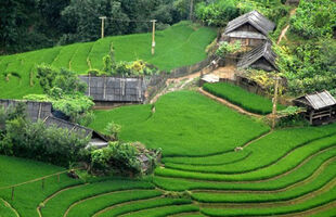 Bản Sín Chải