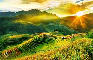 Mù Cang Chải