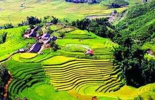 Thung lũng mường Hoa